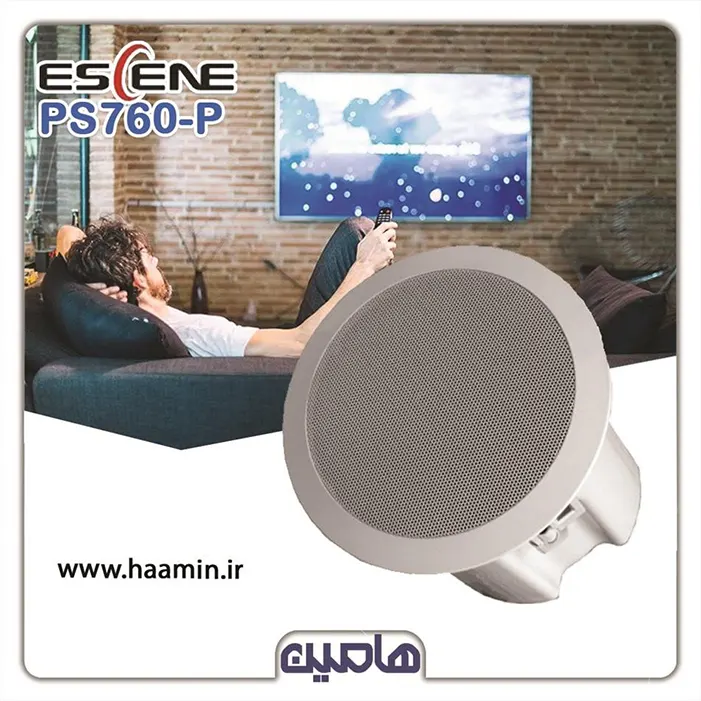 اسپیکر دیجیتال پیجینگ